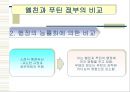 러시아의 정치발전 가속화 요인 pptx 20페이지