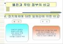 러시아의 정치발전 가속화 요인 pptx 22페이지