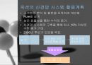 인공지능시스템  14페이지