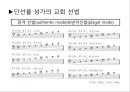중세의 단선율 음악  11페이지