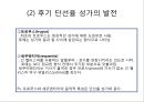 중세의 단선율 음악  18페이지