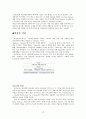 삼성전자 기업분석  13페이지