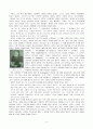 John Calvin Ⅱ [1538~1564] (칼빈 제네바 추방, 스트라스부르크에서 생활) 5페이지