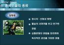 중국 무술  18페이지