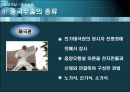 중국 무술  19페이지