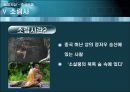 중국 무술  26페이지