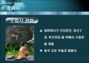 중국 무술  27페이지