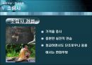 중국 무술  28페이지