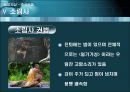 중국 무술  29페이지