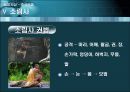 중국 무술  30페이지