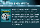 중국 무술  34페이지