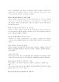 21세기 발전행정의 패러다임 변화 [전자정부에 대하여]  4페이지