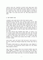 이라크의 정치행정발전  5페이지