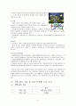 『왕십리 현진에버빌의 마케팅사례』 5페이지