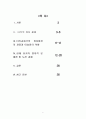 터키 공화국의 정치 체제 및 발전 과정  2페이지