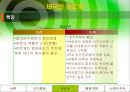 태국의 행정체제  13페이지