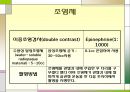 슬관절 조영검사 (Knee arthrography).PPT자료 5페이지