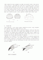 [건축] 쉘(Shell) 구조 6페이지