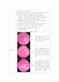 생물학실험1 1주차  2페이지