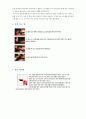 프랑스의 와인 10페이지