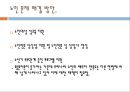 노인상담론 10페이지