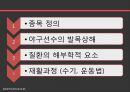발목상해 2페이지