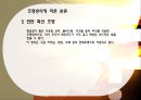 건축 설비 조명 12페이지
