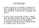 유전학 2페이지