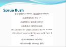 캡스턴디자인 17페이지