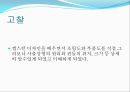 캡스턴디자인 32페이지