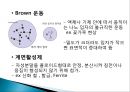 자성 유체의 합성  5페이지