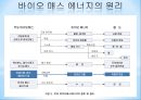 renewable_energy_through_the_biomass 5페이지