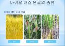 renewable_energy_through_the_biomass 7페이지