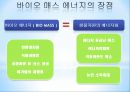 renewable_energy_through_the_biomass 11페이지