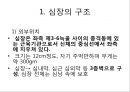 심장의 구조와 기능 & 심전도 2페이지