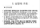심장의 구조와 기능 & 심전도 8페이지