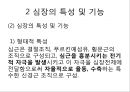심장의 구조와 기능 & 심전도 10페이지