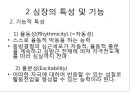 심장의 구조와 기능 & 심전도 16페이지