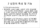 심장의 구조와 기능 & 심전도 17페이지