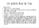 심장의 구조와 기능 & 심전도 21페이지