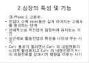 심장의 구조와 기능 & 심전도 24페이지