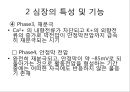 심장의 구조와 기능 & 심전도 25페이지