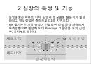 심장의 구조와 기능 & 심전도 28페이지