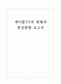 [케이블방송]케이블TV의 현황과 발전방향 1페이지