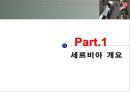 유럽지역연구-세르비아 3페이지