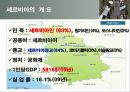 유럽지역연구-세르비아 6페이지