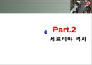유럽지역연구-세르비아 7페이지