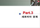 유럽지역연구-세르비아 14페이지