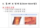보건행정학 1조 (서양의 보건행정) 13페이지