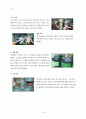 한국타이어기업조사 기업분석,타이어산업정의국내외적발전과정,국제적위상,향후전망,마케팅,STP,4P전략,물류체계 분석 22페이지